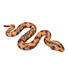 Halloween Snake